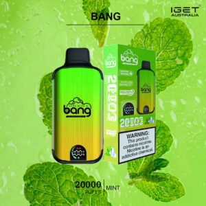 BANG – MINT – 20000 PUFFS