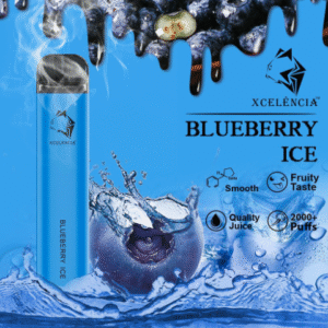 GUNNPOD BLUEBERRY ICE – 2000 PUFFS