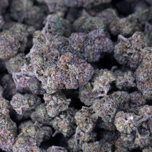 Gelato 41 THCa Flower *Private Reserve*