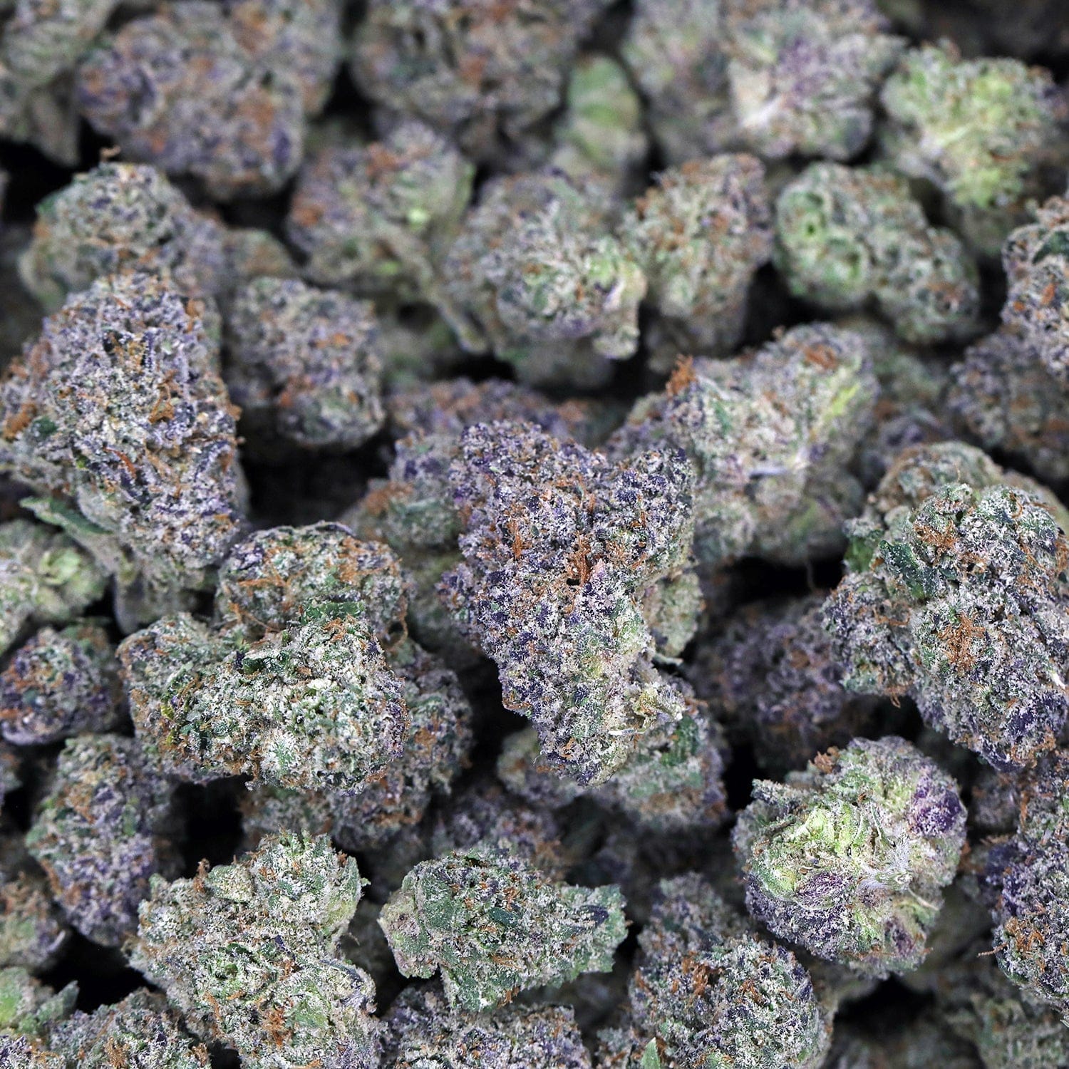 Lemon Cherry Skittlez THCa Flower *Private Reserve* - Image 3