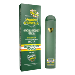 Hidden Hills Mini Mart THCA Disposable | 1g